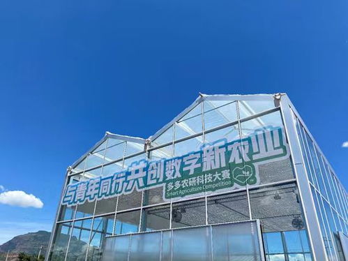 2024中國農(nóng)產(chǎn)品電商發(fā)展報(bào)告 拼多多以人與技術(shù)雙輪驅(qū)動(dòng)，培育新產(chǎn)品與技術(shù)開發(fā)